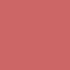 Paint Skin Tone Warm Tint flat