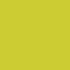 Paint Bear Brown