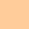 Paint Skin Tone Tint Base - Light / 4601