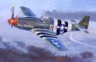 P-51 B-5 "Hurry Home Honey"