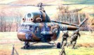 Mil Mi-2 "Commandos Transport"