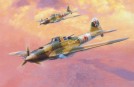 IL-2M Shturmovik