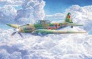 IL2m3 DerShwarzeTod