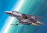 F-14D Super Tomcat