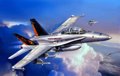 F/A-18 D Hornet "Wild Weasel"