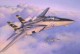 F-14A Tomcat F-14A Tomcat
