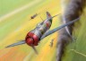 Lavochkin LA-5 FN