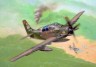 A-1E/AD-5 Skyraider A-1E/AD-5 Skyraider