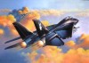 F-14A Black Tomcat