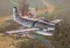 A-1H Skyraider A-1H Skyraider