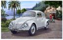 VW Beetle 1951/1952