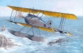 Albatros W4 (late)
