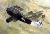 Fokker D.VII Alb (early)
