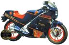 RG250 Walter Wolf Special Version
