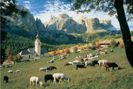 Puzzle 3000 South Tyrol, the Dolomites
