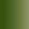 Cam. Light Green