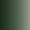 Cam. Black Green