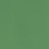 Lime Green MC077 paint