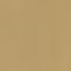 Dark Sand MC123 paint