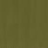 Camouflage Green - paint