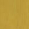 Polished Gold - paint