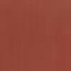 Tan - paint