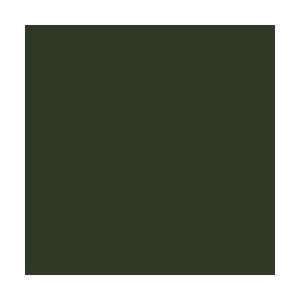 Extra Opaque - Heavy Green - paint