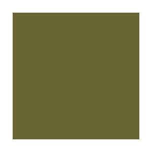 Extra Opaque - Heavy Khaki - paint