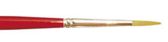 Round Toray brush 0 - P510