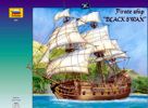 Pirate ship Black Swan