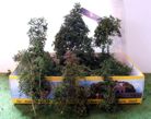 Scale Models Heki 1671 Creative medium green leaves trees and bushes - 15 pcs.