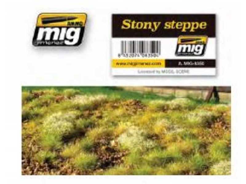 Stony Steppe - zdjęcie 1
