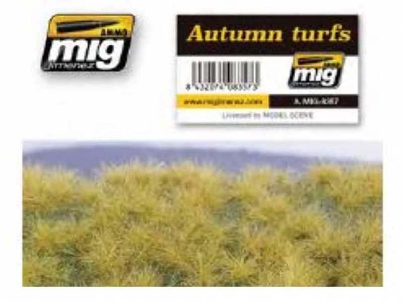 Autumn Turfs - zdjęcie 1 Autumn Turfs - zdjęcie 1