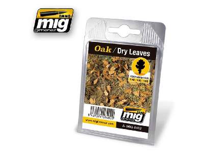 Oak - Dry Leaves - zdjęcie 1