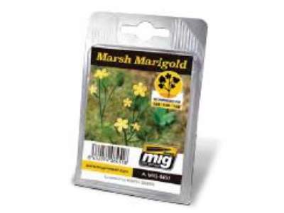 Marsh Marigold - zdjęcie 1