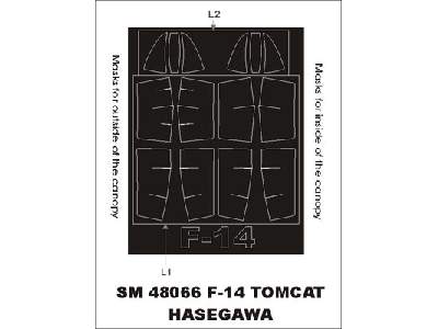 F-14 Tomcat Hasegawa - zdjęcie 1