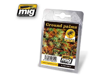 Ground Palms - zdjęcie 1
