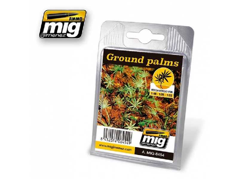 Ground Palms - zdjęcie 1