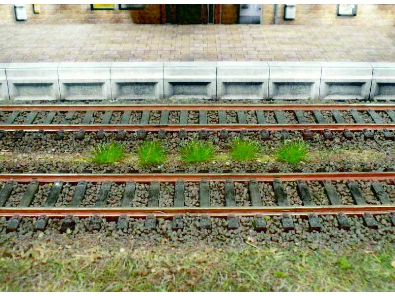 Kępy trawy ciemnozielonej - ok. 6 mm - 100 szt. - zdjęcie 1 Kępy trawy ciemnozielonej - ok. 6 mm - 100 szt. - zdjęcie 1