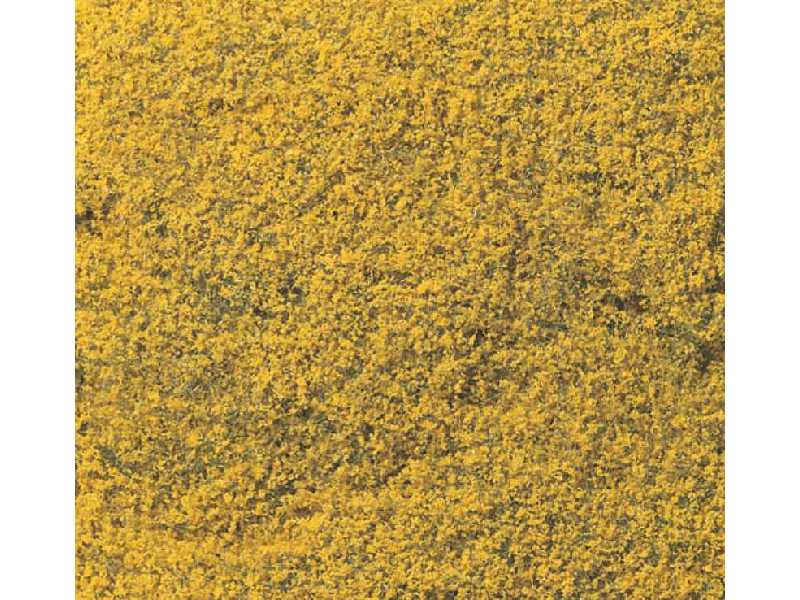 Flowering Foliage Yellow - zdjęcie 1 Flowering Foliage Yellow - zdjęcie 1