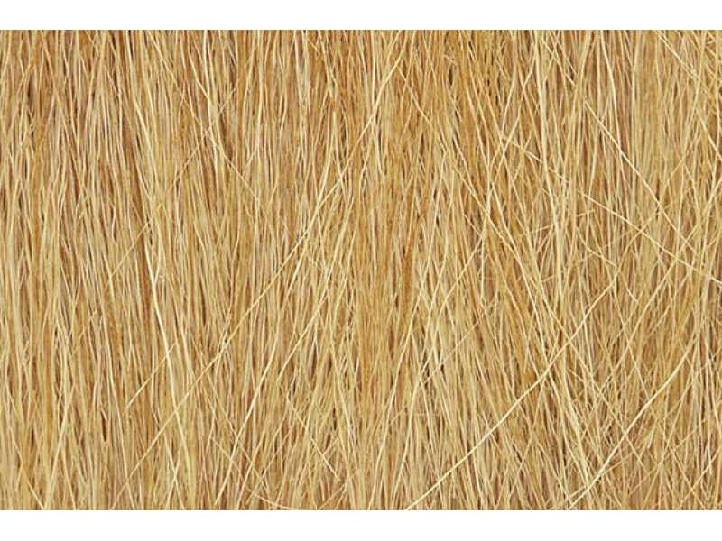 Field Grass Harvest Gold - zdjęcie 1 Field Grass Harvest Gold - zdjęcie 1
