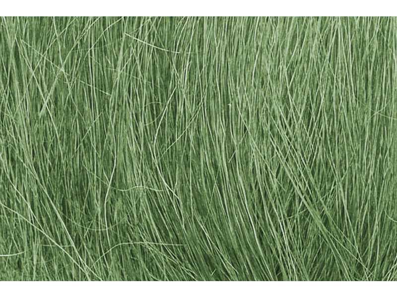 Field Grass Medium Green - zdjęcie 1 Field Grass Medium Green - zdjęcie 1