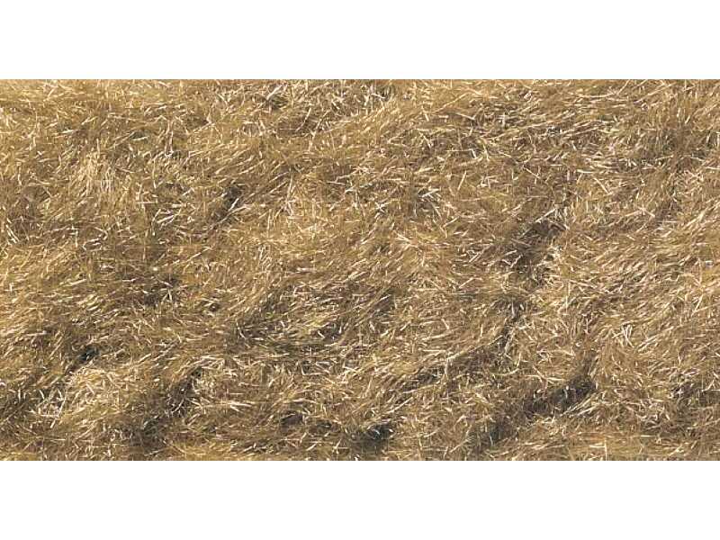 Flock Harvest Gold Grass - zdjęcie 1 Flock Harvest Gold Grass - zdjęcie 1