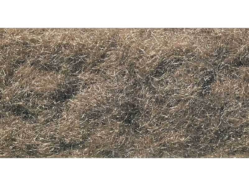 Flock Burnt Grass - zdjęcie 1 Flock Burnt Grass - zdjęcie 1