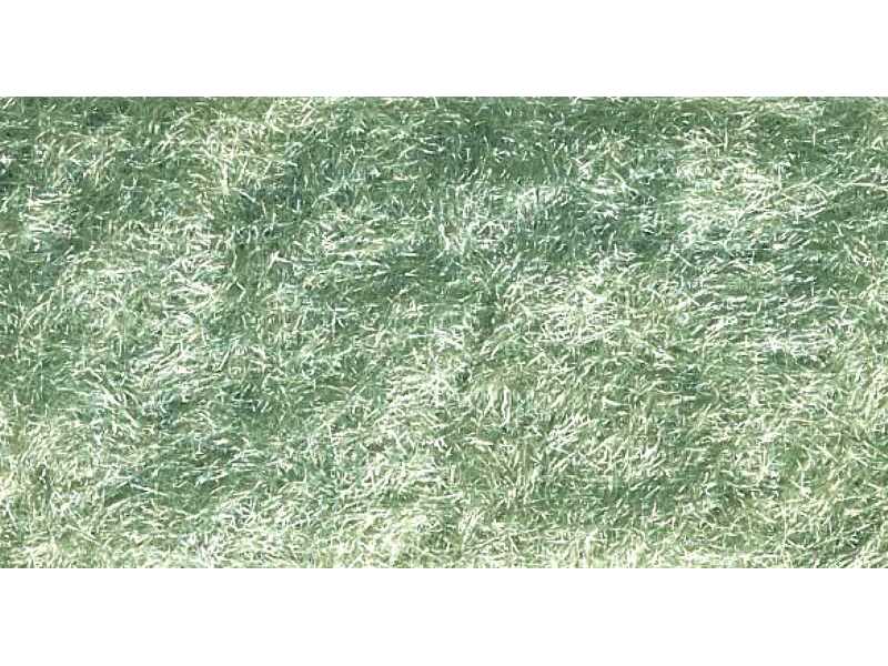 Flock Light Green Grass - zdjęcie 1 Flock Light Green Grass - zdjęcie 1