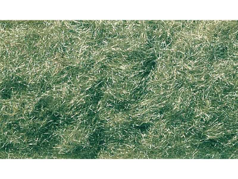 Flock Medium Green Grass - zdjęcie 1 Flock Medium Green Grass - zdjęcie 1