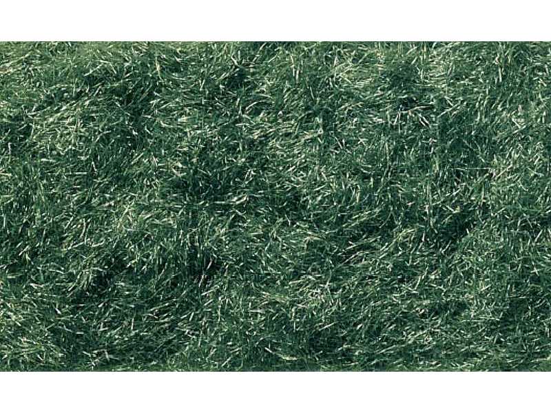 Flock Dark Green Grass - zdjęcie 1 Flock Dark Green Grass - zdjęcie 1