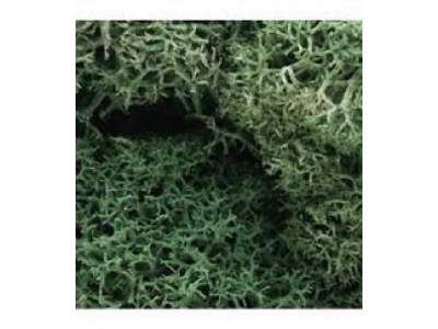 ZAROŚLA - Light Green Lichen - zdjęcie 1