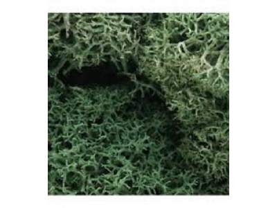 ZAROŚLA - Light Green Lichen - zdjęcie 1
