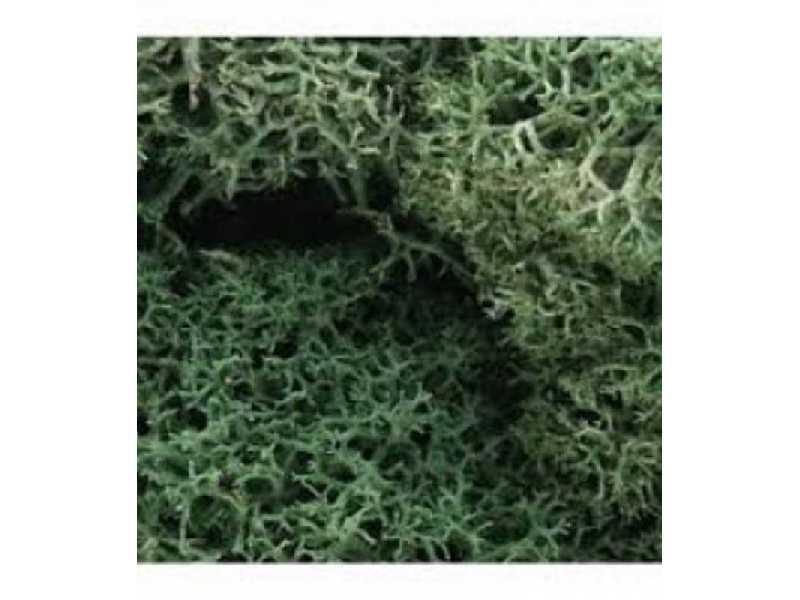 ZAROŚLA - Light Green Lichen - zdjęcie 1
